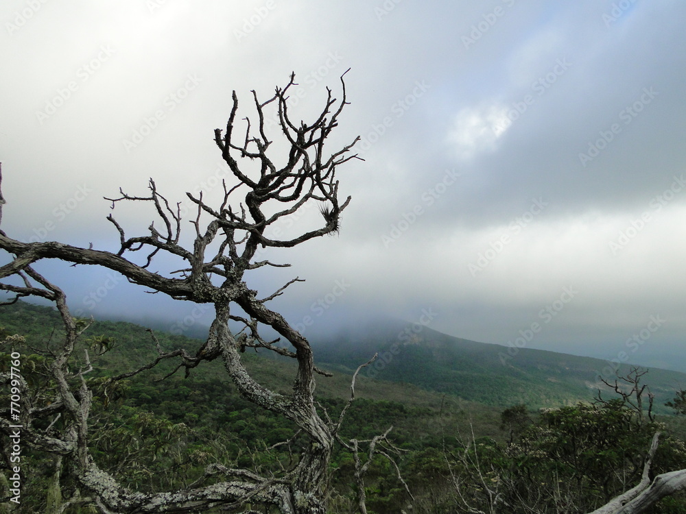 Obraz premium Landscapes in the Ibitipoca state park, Minas Gerais, Brazil