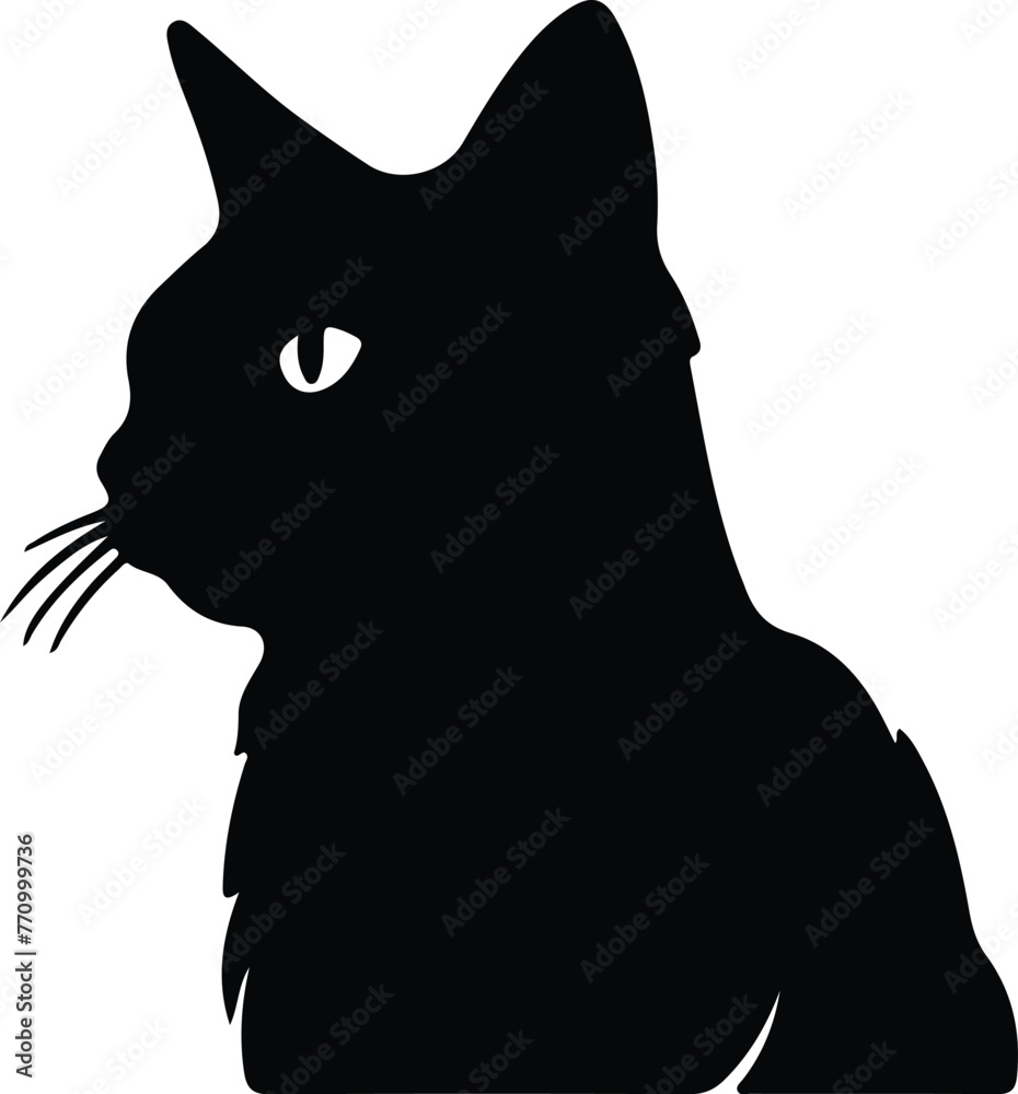 Chartreux Cat portrait Chartreux Cat portrait