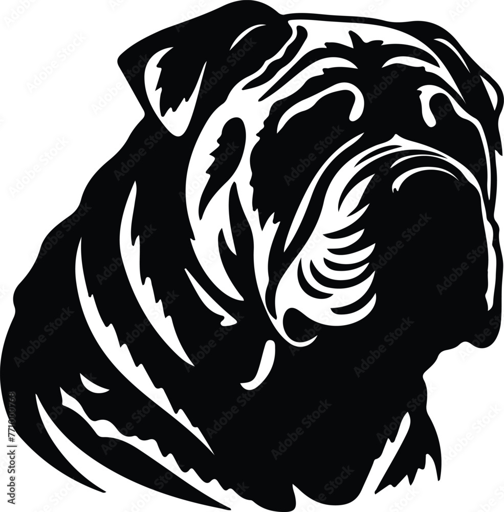 Chinese Shar-Pei portrait Chinese Shar-Pei portrait