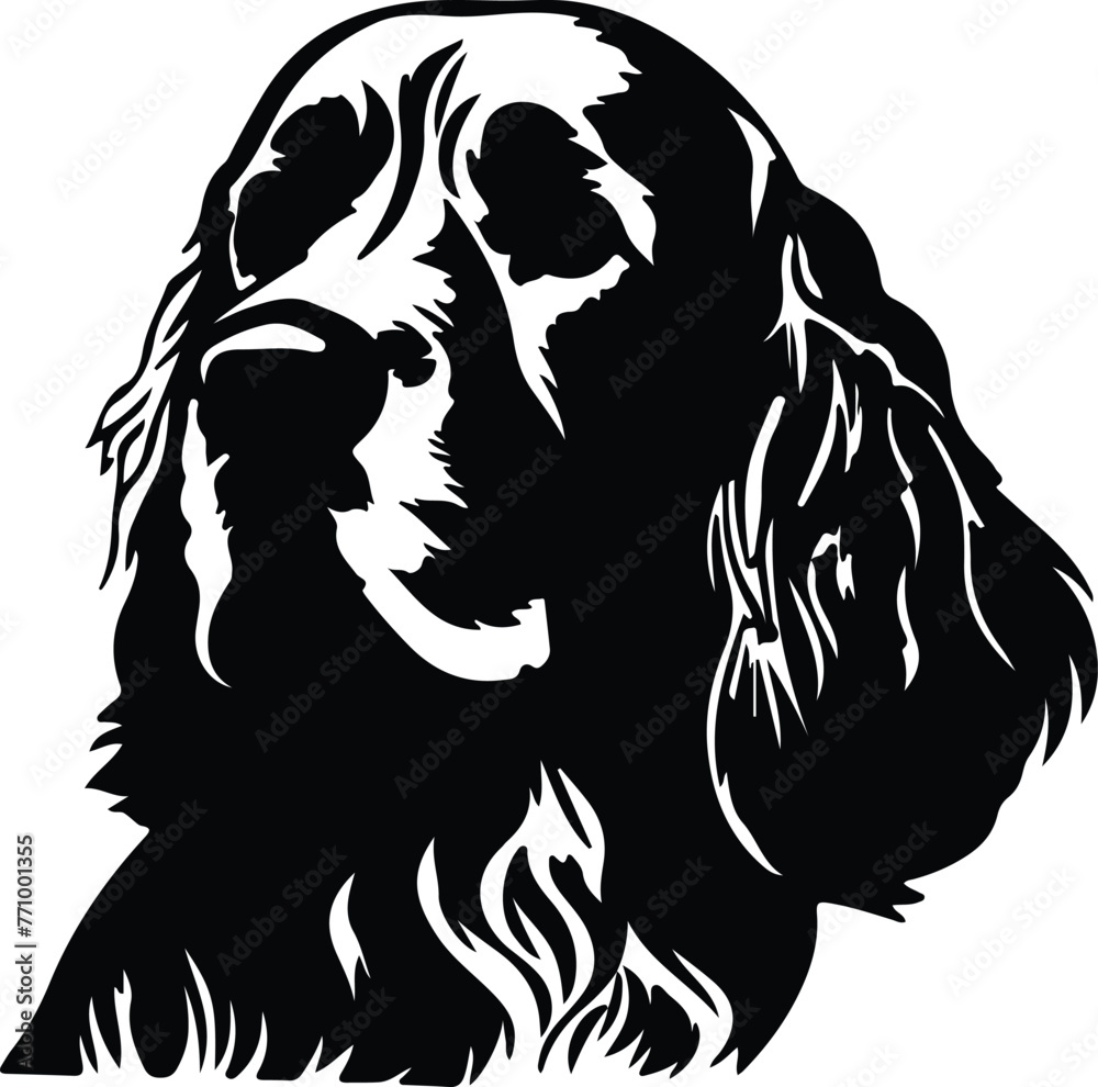 Clumber Spaniel portrait