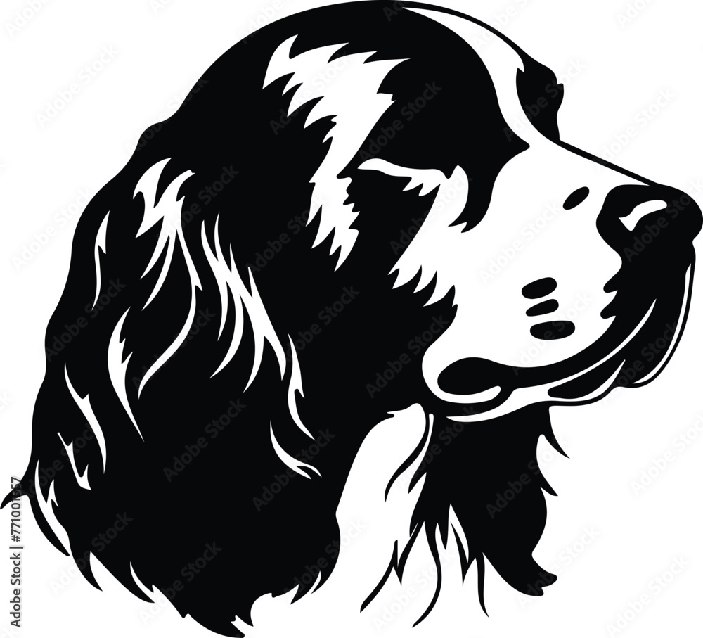 Clumber Spaniel portrait Clumber Spaniel portrait