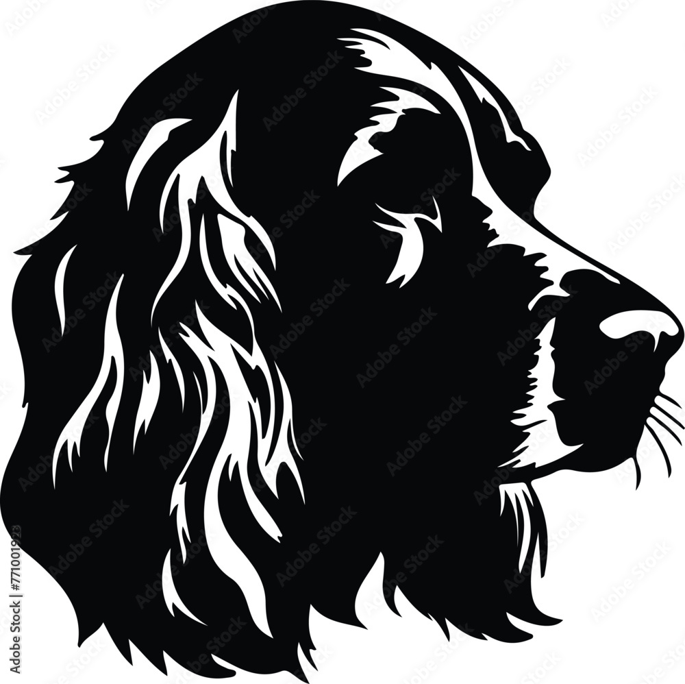 Cocker Spaniel portrait Cocker Spaniel portrait