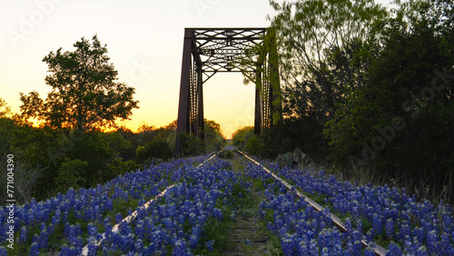 Railroad track bridge lined with bluebonnets in Texas Hill Country photo