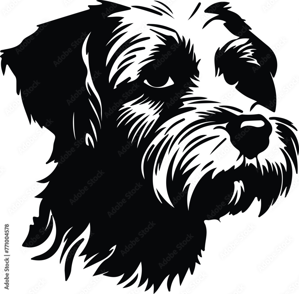 Dandie Dinmont Terrier portrait