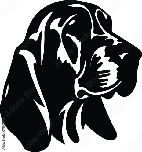 Bloodhound portrait