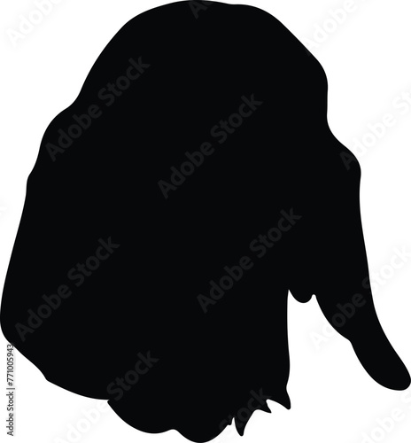 Bloodhound portrait