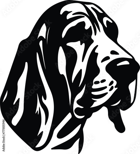 bloodhound portrait