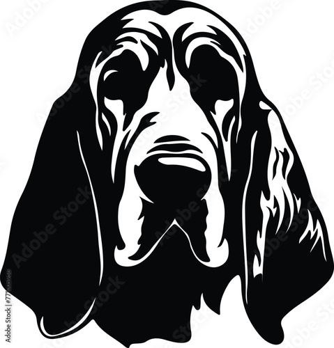 bloodhound portrait