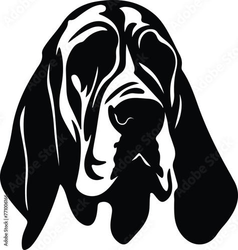 Bloodhound portrait