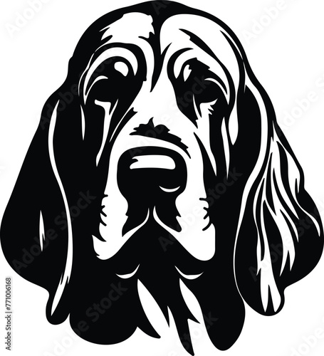 Bloodhound portrait