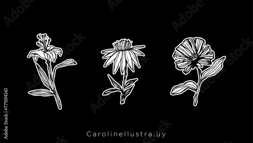Spring_CarolineIlustra.uy