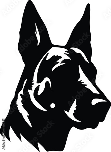 Belgian Malinois portrait