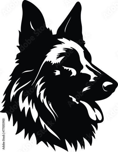 Belgian Tervuren portrait