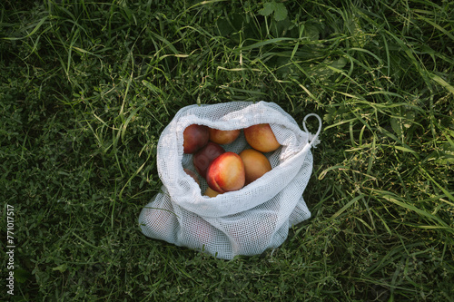 Reusable mesh bag with nectarines and peaches on green grass, zero waste grocery concept,