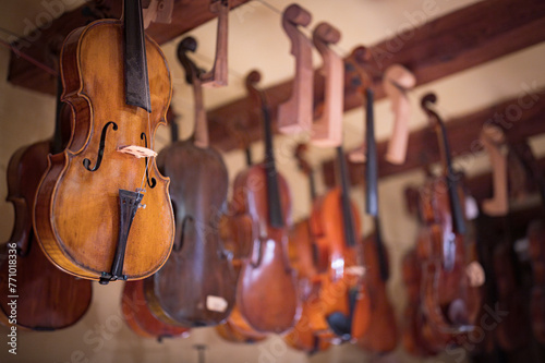 Close-up detail of one of the violins hanging in the master luthier's workshop. Artisan manufacturer of high-end violins
