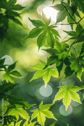 Sunlit Maple Trees: Vibrant Green Leaves and Radiant Light Generative AI