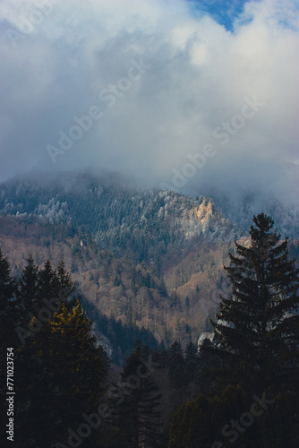fog over the mountains