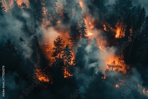 Aerial View of Forest Fire: Crisis in the Wilderness Generative AI