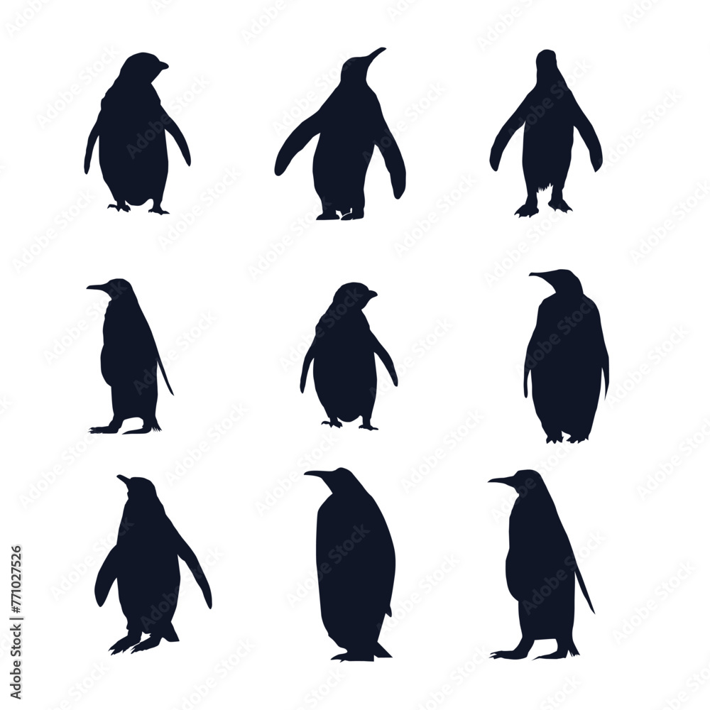 Naklejka premium Set Of a penguine Vector silhouettes
