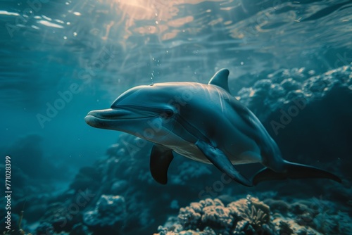 Dolphin gracefully swimming in its underwater habitat Generative AI © AlexandraRooss