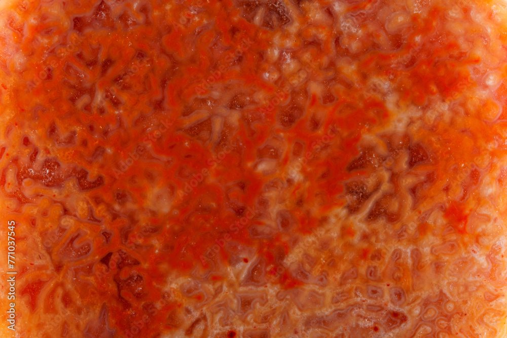 agatized fossil coral symbiosis of agate and crystal agatized fossil coral symbiosis of agate and crystal