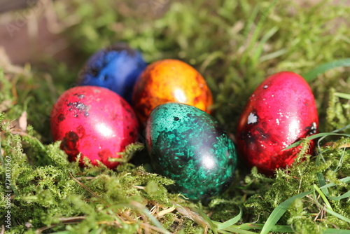 colorful easter quail eggs in the nest
