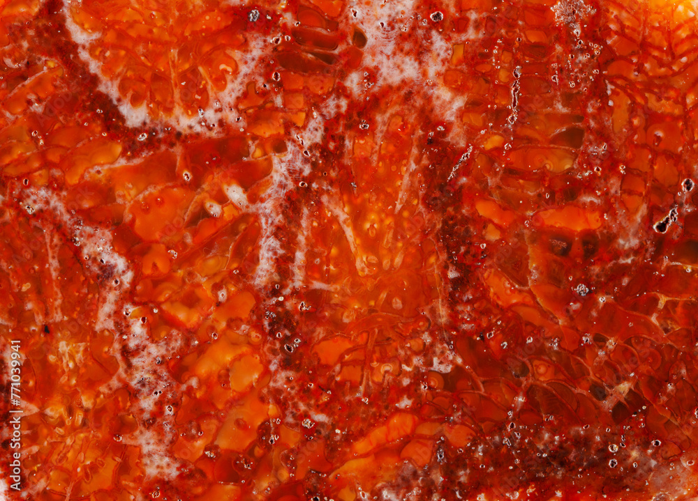agatized fossil coral symbiosis of agate and crystal agatized fossil coral symbiosis of agate and crystal