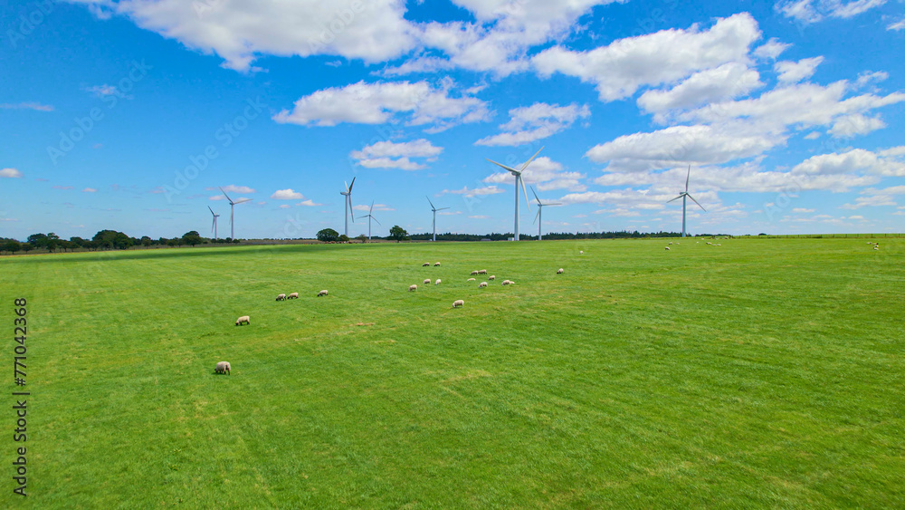 Obraz premium AERIAL: Spacious green pastures with grazing animals next to a working wind farm