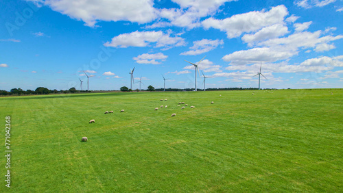AERIAL: Spacious green pastures with grazing animals next to a working wind farm