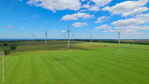 AERIAL: Rotating wind turbines rising above green pasture with grazing livestock