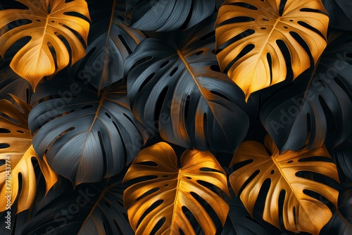 Gold and black tropical monstera leaves. Creative background