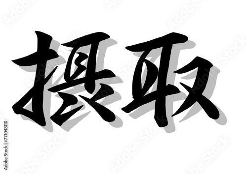 筆文字，摂取、、行書，毛筆，墨，影，