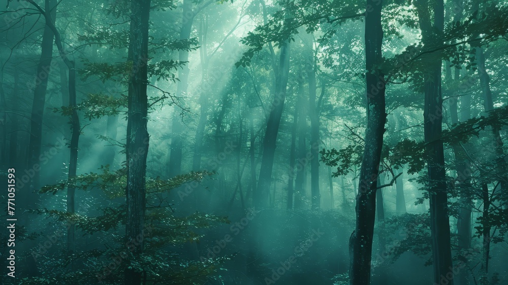 Fototapeta premium Forest Serenity Cinematic shots of forests or woodlands with intentional blur adding a sense of mystery and enchantment to the scene inviting viewe AI generated illustration