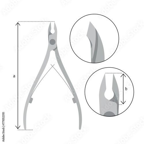 cuticle nippers manicure vector illustration for beauty shop, nail cutter size guide