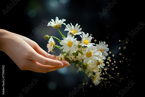 A person delicately holds a bouquet of daisies in their hand, showcasing the vibrant colors and delicate petals of the flowers. Generative AI