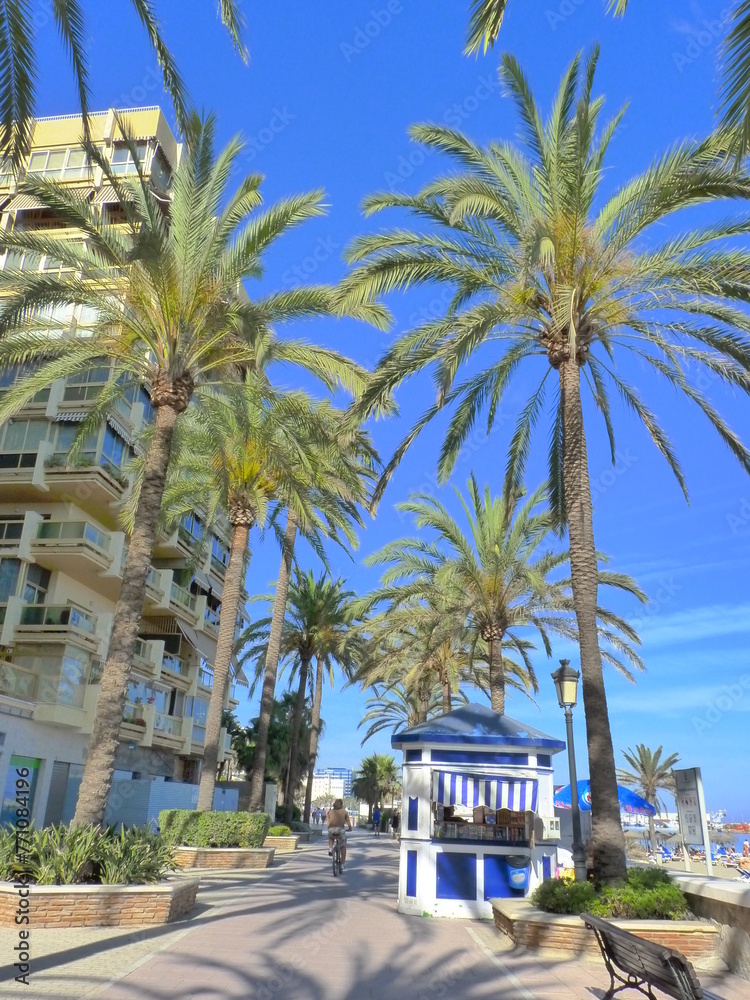Palmiers plage Marbella Espagne