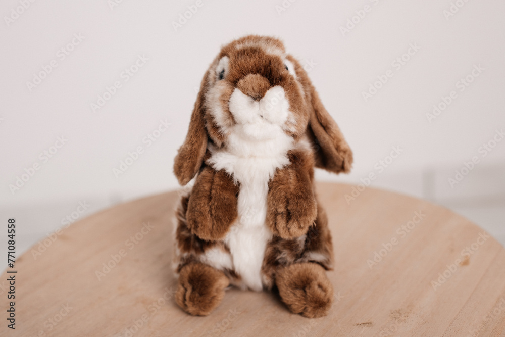 Fototapeta premium Bunny Hare Rabbit Plush Toy