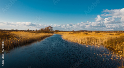 Fototapeta Naklejka Na Ścianę i Meble -  Early spring by a Ukrainian river: tranquil waters meet awakening reeds, symbolizing renewal. A serene, beautiful snapshot of nature's rebirth.