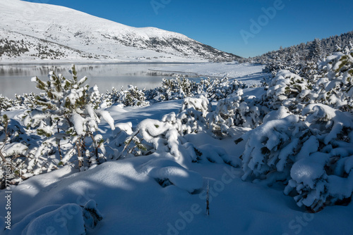 Winter view of Belmeken Dam at Rila mountain, Bulgaria photo