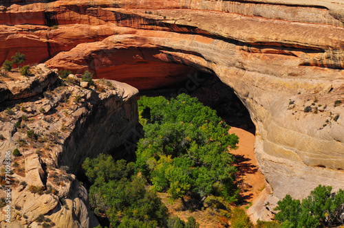 High angle view of Kachina Bridge, Natural Bridges National Monument, Utah, Southwest USA.