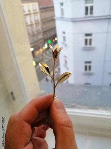 Silver brooche photo