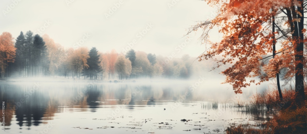 A misty lake reflecting the sky with trees in the background and a lone tree in the foreground, creating a serene natural landscape