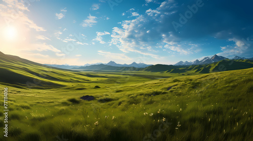 Beautiful grassland background © jiejie