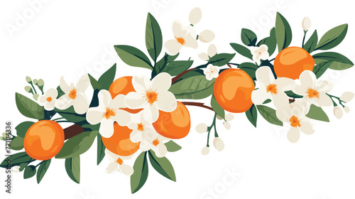 Branch with orange and flowers isolated on white ba