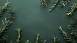 Rosemary food background with rosemary branches on minimal green