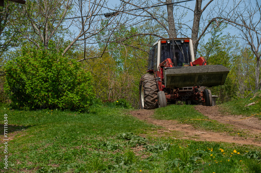 Naklejka premium A man driving a red tractor full of gravel in the bucket during spring on a sunny day