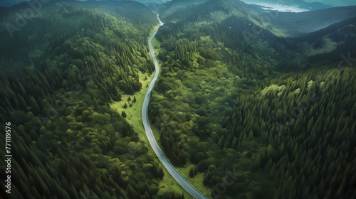 Aerial view of the mountain road in a green forest