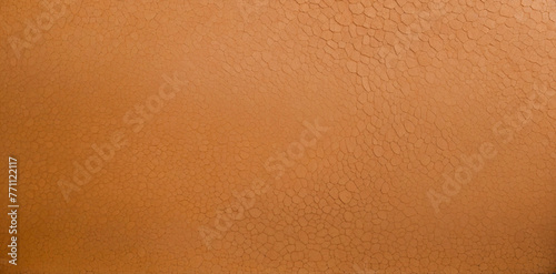 Lacewood Texture Close-Up.
