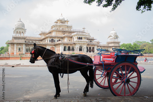  A very old horse carriage is standing near the Albert Hall Museum in Jaipur for visitors. People come from whole world to visit UNESCO world heritage site.