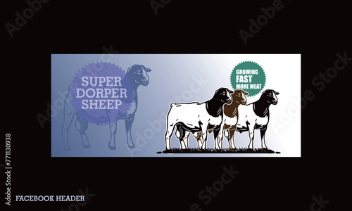 DORPE SHEEP FACEBOOK HEADER DESIGN, great facebook design for breeder sheep